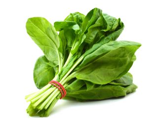 spinach for burn fat